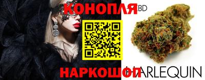 ГАЛЛЮЦИНОГЕННЫЕ ГРИБЫ Берёзовский