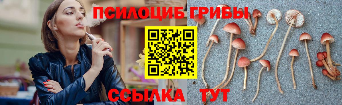Ишимбай  Псилоцибиновые грибы GOLDEN TEACHER  Галлюциногенные грибы Cubensis  Вход с VPN 
